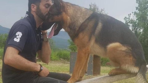 Kaos, indagini sulla morte del cane-eroe: «Si cercano tracce di … – Corriere della Sera
