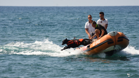I cani bagnino danno spettacolo davanti la costa di Pescia Romana – Il Messaggero