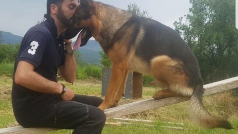 Morte cane eroe: primi esami escludono veleni o traumi – Abruzzo … – ANSA.it