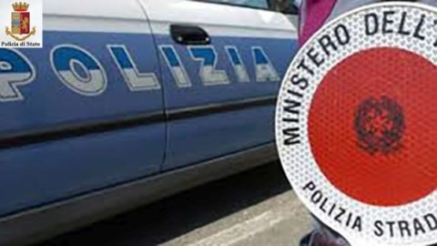 Incidenti stradali: il mancato soccorso di animali può configurare un … – Firenze Post