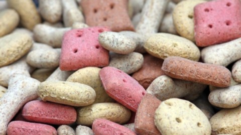 Animali domestici, gli italiani disposti a spendere di più per il cibo – eHabitat