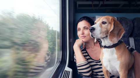 Dal carpooling al treno, regole per le vacanze con il cane – l'Adige – Quotidiano indipendente del Trentino Alto Adige