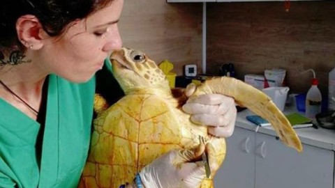 Gli Angeli di Brancaleone: «Così salviamo Dolores e le altre … – Corriere della Sera