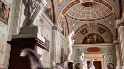 I gatti dell'Hermitage, i fedeli e simpatici guardiani del museo dall … – Finestre sull'Arte