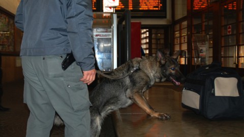 Controlli alla stazione con i cani antidroga – l'Adige – Quotidiano indipendente del Trentino Alto Adige