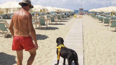 Cani di assistenza limiti in spiaggia Protesta una disabile – Il Tirreno