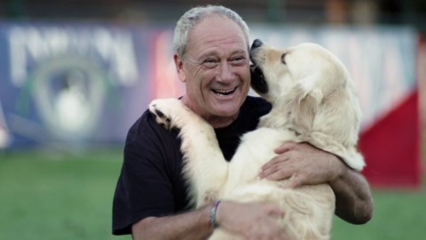 Stasera in TV Italo, il cane diventa star nei film. Il segreto è l … – Gogo Magazine (Blog)