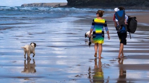 In vacanza con il cane: come gestire al meglio le ferie evitando … – Scienze Fanpage