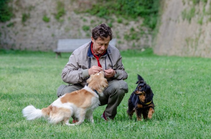 Fratelli a quattro zampe: a tu per tu con l'attore Massimo Wertmuller