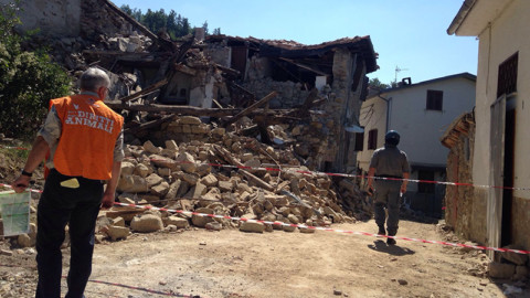 Soccorso animali, Protocollo d'intesa tra Dipartimento di Protezione Civile e Associazioni