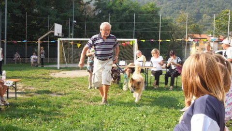 Grande partecipazione ad Amico cane (foto) – Vco24 (Comunicati Stampa) (Blog)