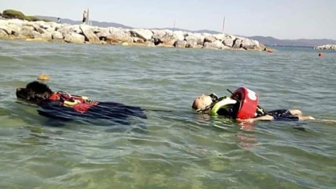 Follonica, al via il corso per cani da salvataggio – Maremmanews