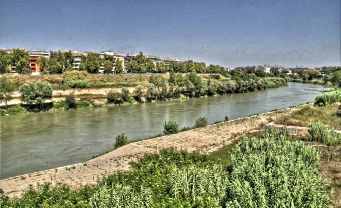 Roma, Pescatore avvista coccodrillo nel Tevere ed è subito psicosi – Romait