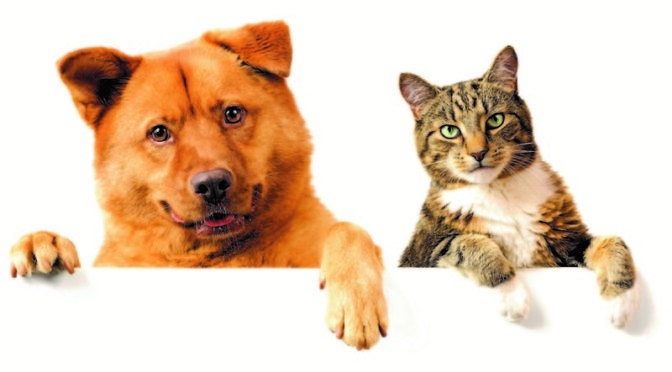 Fiere. Sana è anche pet food bio – EFA News – European Food Agency (Comunicati Stampa)