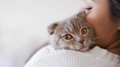 Dimmi che segno sei e ti dirò l'animale domestico giusto per te – Leggo.it