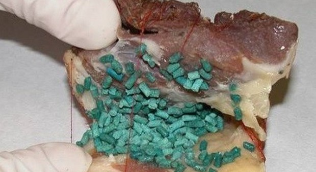 Bocconi avvelenati nei giardini: un cane morto e due salvati in … – Il Gazzettino