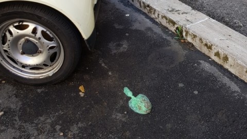 Quelli che mettono nel sacchetto i bisogni dei cani e poi li lasciano … – Il Messaggero