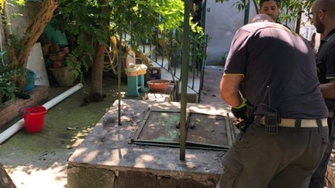 FOTO. Le sette vite certificate di un gatto nostrano. Felino cade in un … – CasertaCE (Comunicati Stampa)