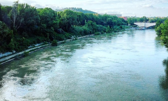 Allarme a Roma, spunta un coccodrillo nel Tevere: la testimonianza – Velvet Gossip