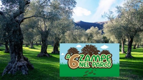 VENAFRO – “A 6 zampe nel Parco”, migliorare il rapporto cane … – Molise Network