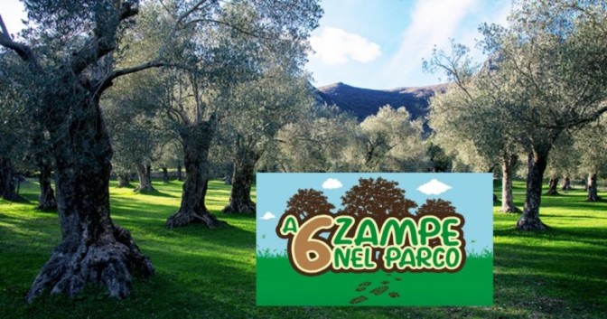 VENAFRO – “A 6 zampe nel Parco”, migliorare il rapporto cane … – Molise Network