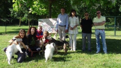 Torna (e raddoppia) il corso per proprietari di cani – InfoVercelli24.it