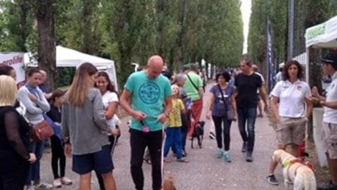 Rassegna cinofila: oltre 200 cani alla manifestazione per i 4 zampe … – VeneziaToday