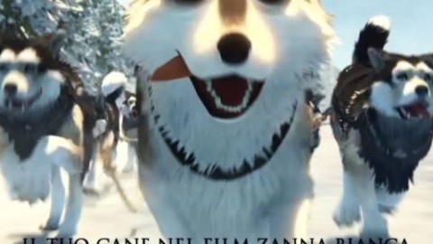 Il tuo cane al cinema con Zanna Bianca! – Bigodino.it