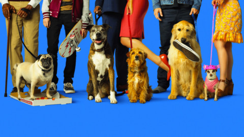 Dog Days, commedia corale sulla capacità unica dei cani di amare … – MYmovies.it