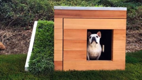 Tetto verde e ventola a energia solare per la cuccia per cani green – BioPianeta