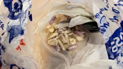 Il gatto porta a casa una busta piena di droga: la polizia lo ringrazia … – Today
