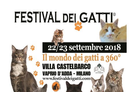 Festival dei gatti a Vaprio d'Adda – La Martesana