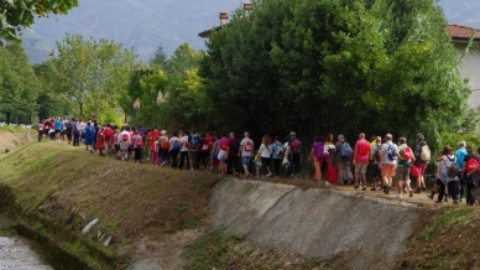 A piedi, in bicicletta o… con il cane: una domenica sulla via Francigena – Il Tirreno