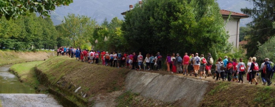 A piedi, in bicicletta o… con il cane: una domenica sulla via Francigena – Il Tirreno