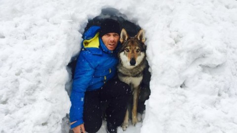 Vive a Ronzo Chienis l'uomo che sussurra ai cani e li capisce – Trentino
