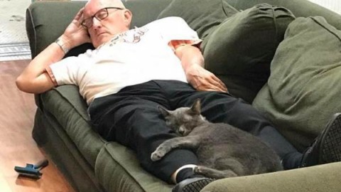 Il nonnino volontario che ogni giorno schiaccia un pisolino con i gatti … – greenMe.it