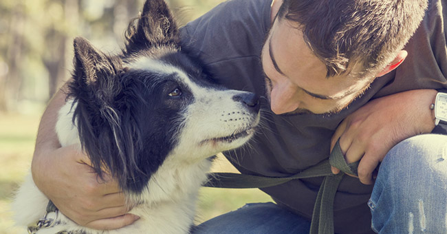 Cani più educati dai proprietari felici – GreenStyle