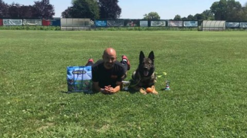 L'addestratore di cani che lavora per la Polizia e l'Esercito … – Primonumero
